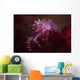 Soft Coral Crab Blends Wall Decal Design 1