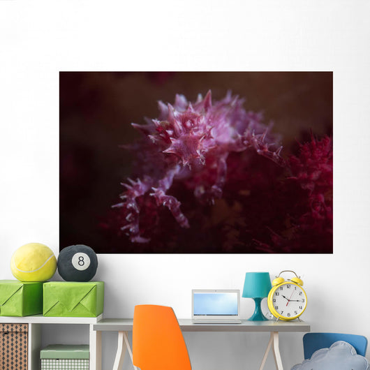 Soft Coral Crab Blends Wall Decal Design 1