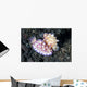 Pair Mexichromis Nudibranch Circle Wall Decal