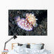 Pair Mexichromis Nudibranch Circle Wall Decal