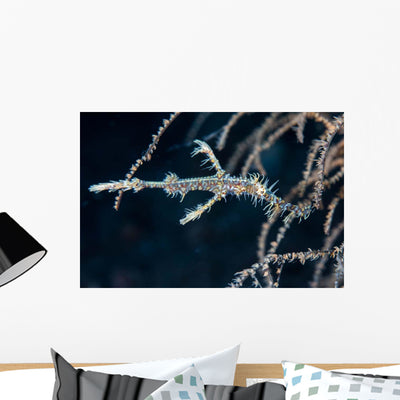Ornate Ghost Pipefish Blends Wall Decal Design 2 shown on a wall