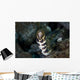 Snowflake Moray Eel Pokes Wall Decal Design 2