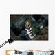 Snowflake Moray Eel Pokes Wall Decal Design 2