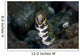 Snowflake Moray Eel Pokes Wall Decal Design 2