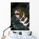Snowflake Moray Eel Pokes Wall Decal Design 1