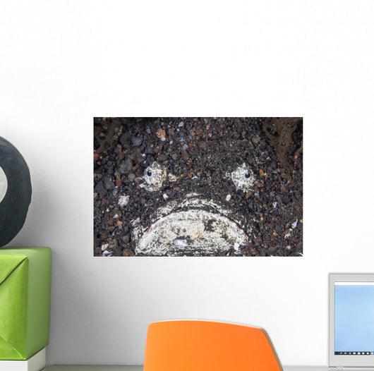 Venomous Stonefish Camouflages Itself Wall Decal
