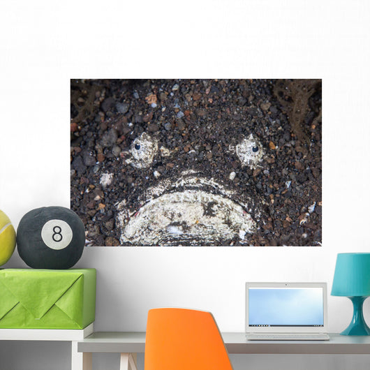 Venomous Stonefish Camouflages Itself Wall Decal
