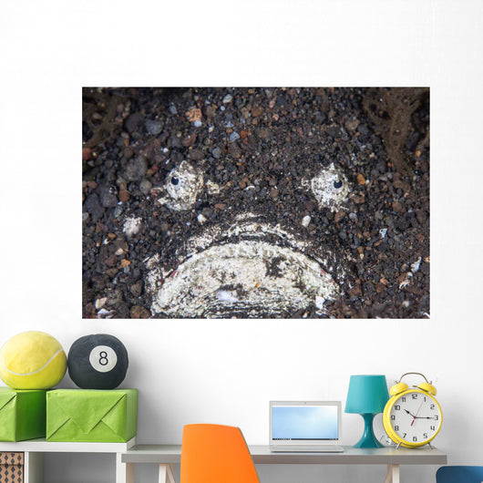 Venomous Stonefish Camouflages Itself Wall Decal