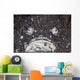 Venomous Stonefish Camouflages Itself Wall Decal