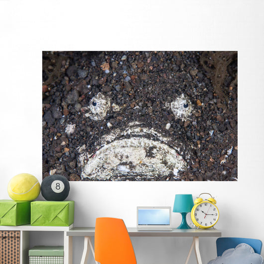 Venomous Stonefish Camouflages Itself Wall Decal