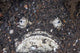 Venomous Stonefish Camouflages Itself Wall Decal
