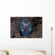 Bobtail Squid Emerges from Wall Decal
