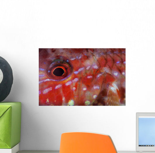 Goatfish Shows Its Nocturnal Wall Decal