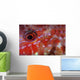 Goatfish Shows Its Nocturnal Wall Decal
