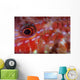 Goatfish Shows Its Nocturnal Wall Decal