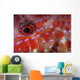 Goatfish Shows Its Nocturnal Wall Decal
