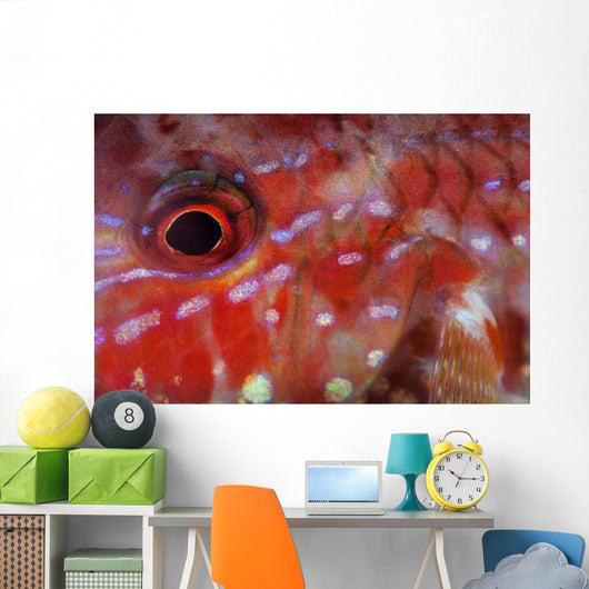 Goatfish Shows Its Nocturnal Wall Decal