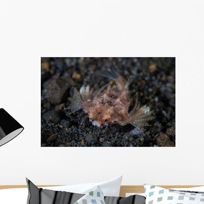 Dragon Seamoth Crawls across Wall Decal shown on a wall