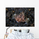 Dragon Seamoth Crawls across Wall Decal