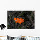 Juvenile Painted Frogfish Seafloor Wall Decal