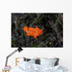 Juvenile Painted Frogfish Seafloor Wall Decal