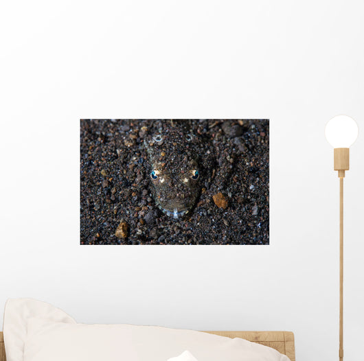 Flathead Fish Camouflages Itself Wall Decal