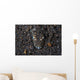 Flathead Fish Camouflages Itself Wall Decal