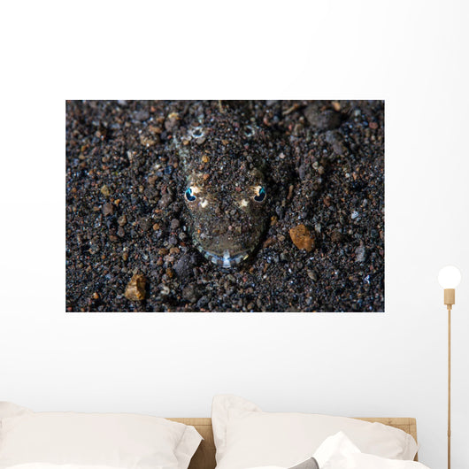 Flathead Fish Camouflages Itself Wall Decal