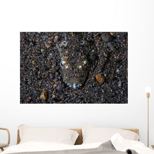 Flathead Fish Camouflages Itself Wall Decal