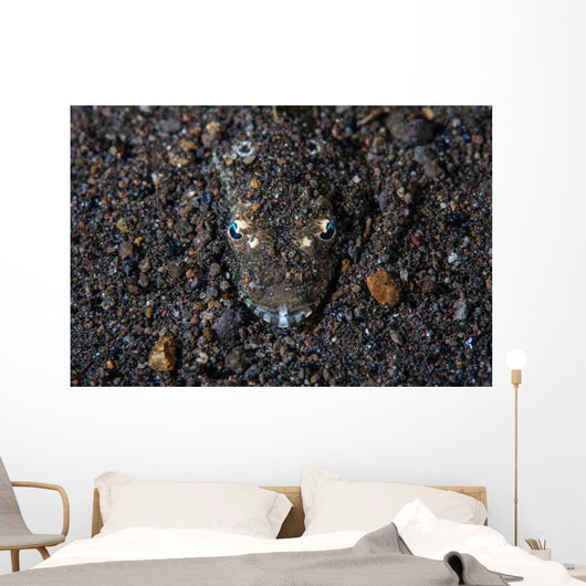Flathead Fish Camouflages Itself Wall Decal