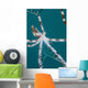 Wonderpus Octopus Found Lembeh Wall Decal Design 2