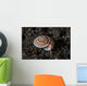 Live Sundial Shell Crawls Wall Decal