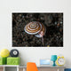Live Sundial Shell Crawls Wall Decal