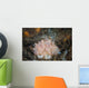 Close-up Beautiful Halgerda Batangas Wall Decal Design 1