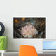 Close-up Beautiful Halgerda Batangas Wall Decal Design 1