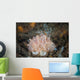 Close-up Beautiful Halgerda Batangas Wall Decal Design 1