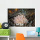 Close-up Beautiful Halgerda Batangas Wall Decal Design 1
