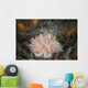 Close-up Beautiful Halgerda Batangas Wall Decal Design 1
