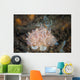 Close-up Beautiful Halgerda Batangas Wall Decal Design 1