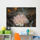 Close-up Beautiful Halgerda Batangas Wall Decal Design 1