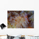Pair Coleman's Shrimp Live Wall Decal Design 2