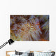 Pair Coleman's Shrimp Live Wall Decal Design 2
