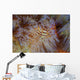 Pair Coleman's Shrimp Live Wall Decal Design 2