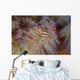 Pair Coleman's Shrimp Live Wall Decal Design 2