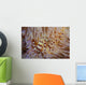 Pair Coleman's Shrimp Live Wall Decal Design 1