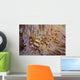 Pair Coleman's Shrimp Live Wall Decal Design 1
