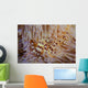 Pair Coleman's Shrimp Live Wall Decal Design 1