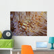 Pair Coleman's Shrimp Live Wall Decal Design 1
