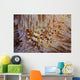 Pair Coleman's Shrimp Live Wall Decal Design 1