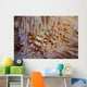 Pair Coleman's Shrimp Live Wall Decal Design 1